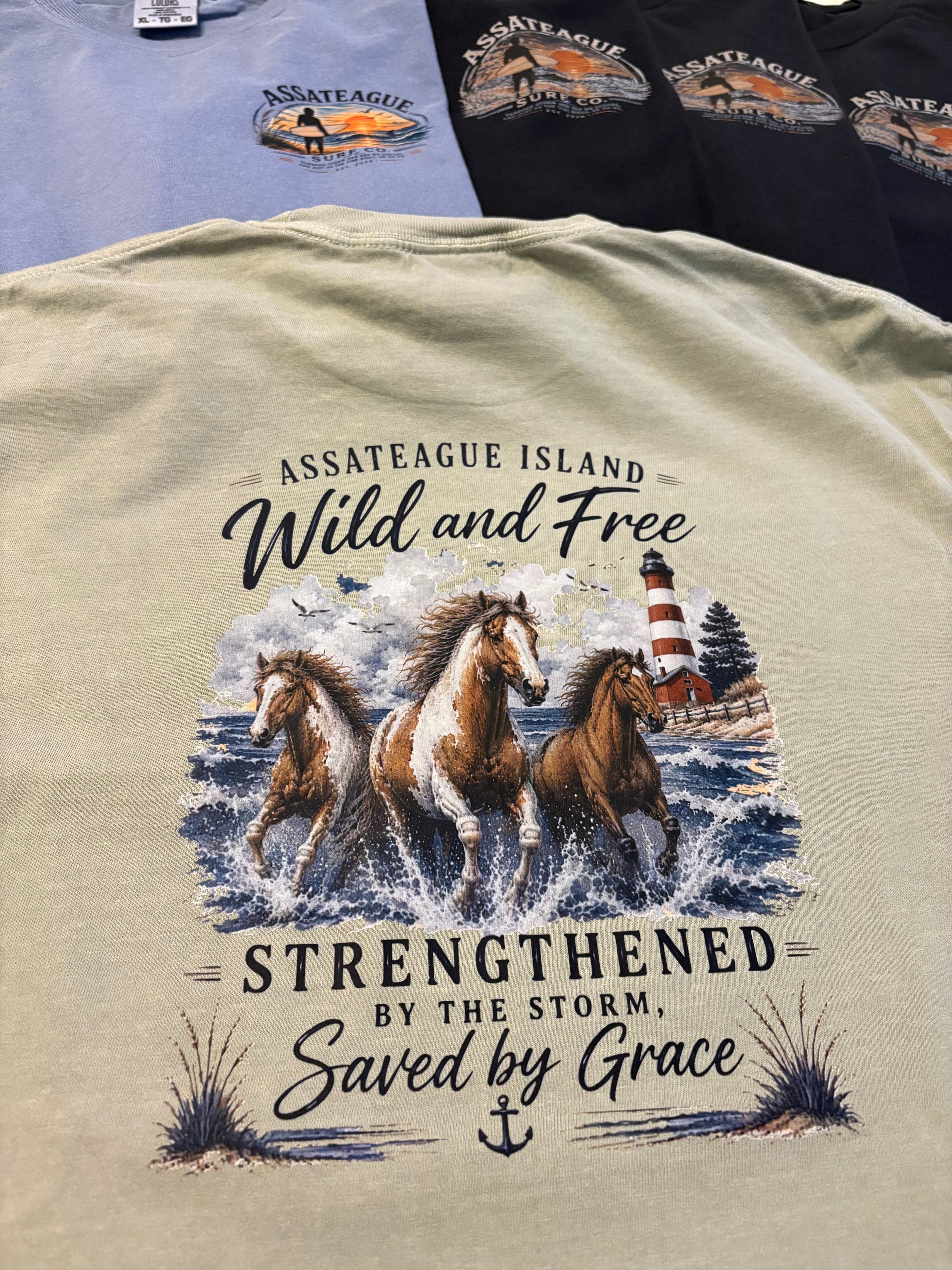Assateague Island Strengthened by the Storm T-shirt