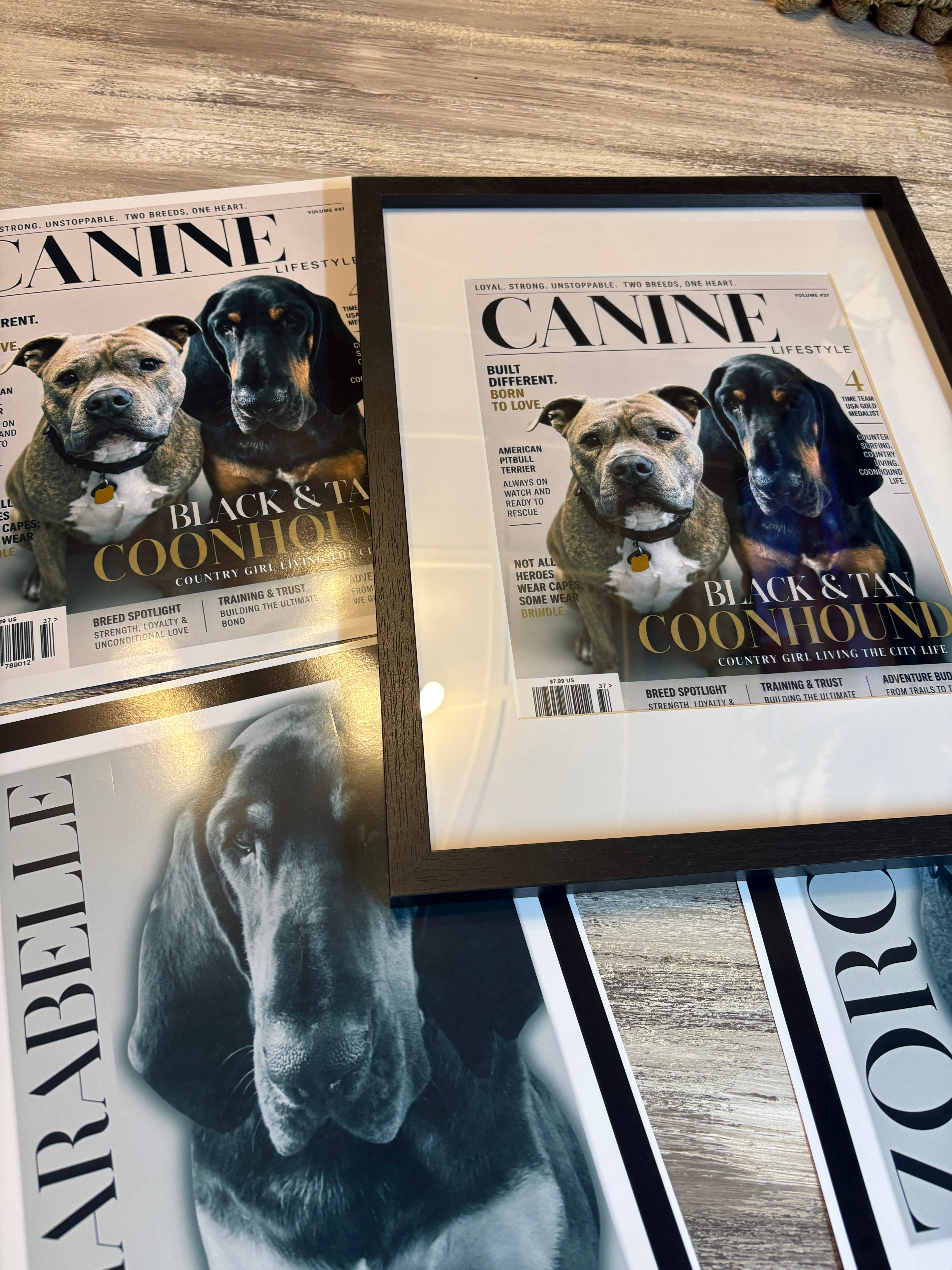 Custom Pet Magazine Cover