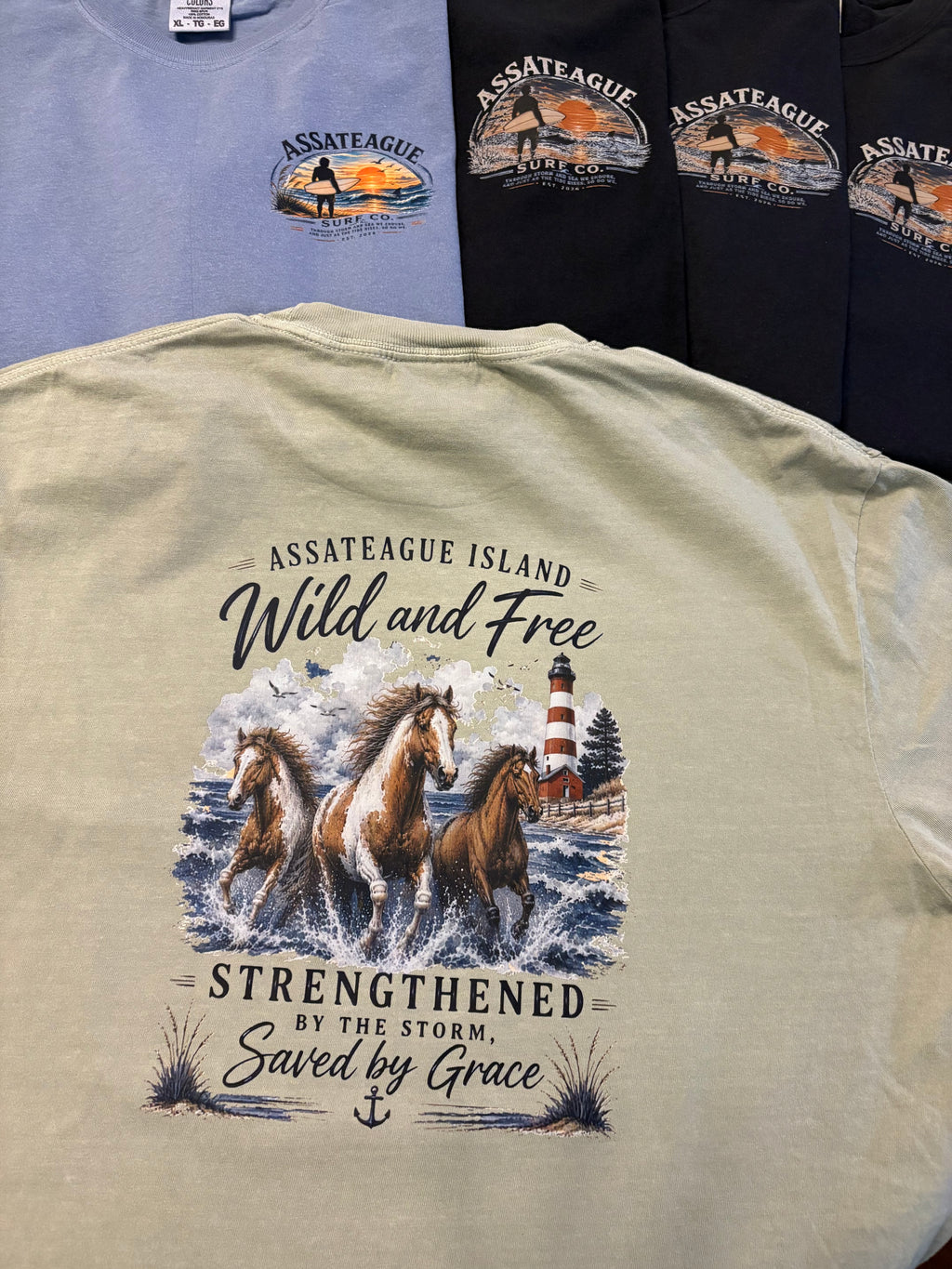 Assateague Island Strengthened by the Storm T-shirt
