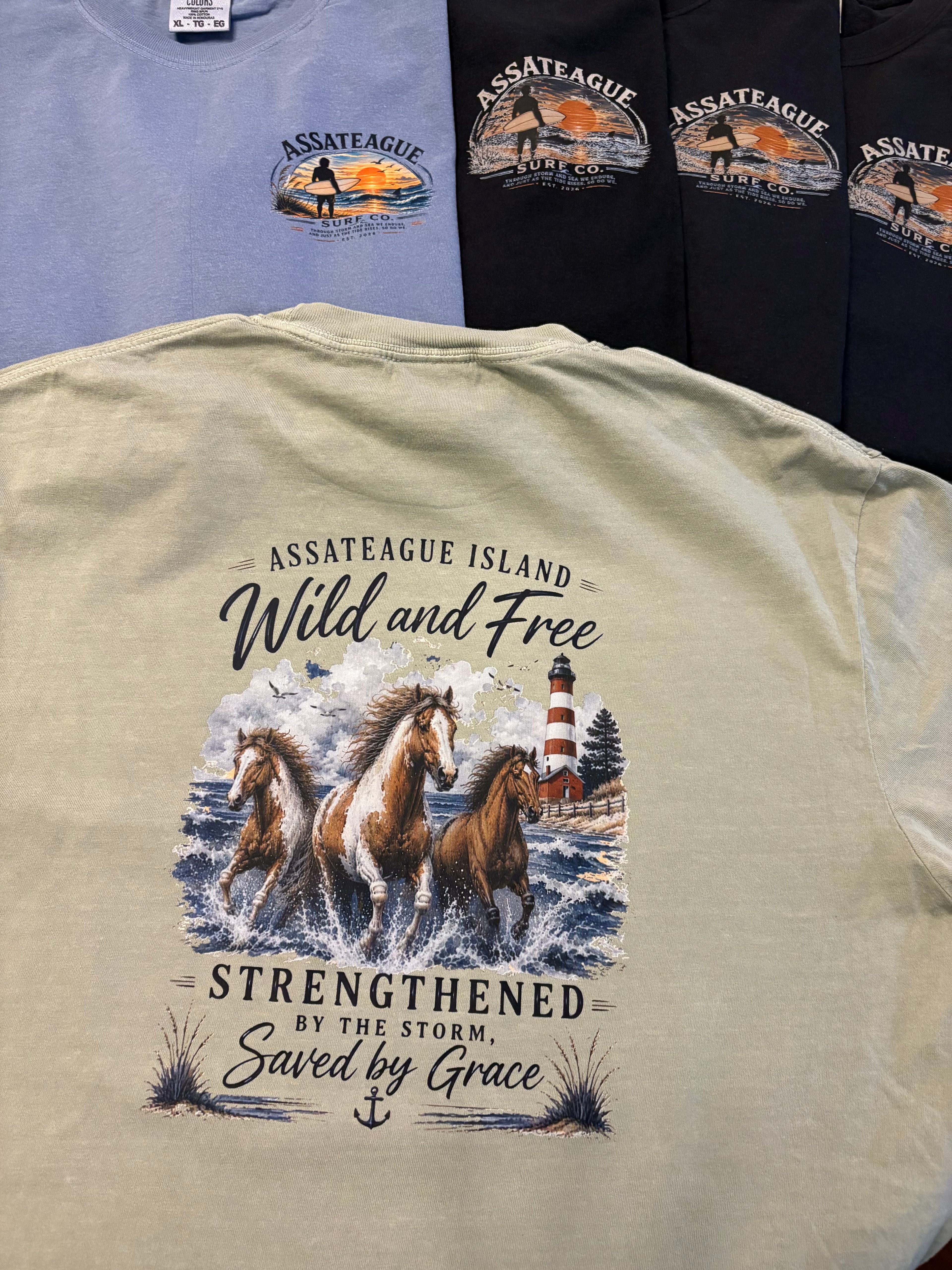 Assateague Island Strengthened by the Storm T-shirt