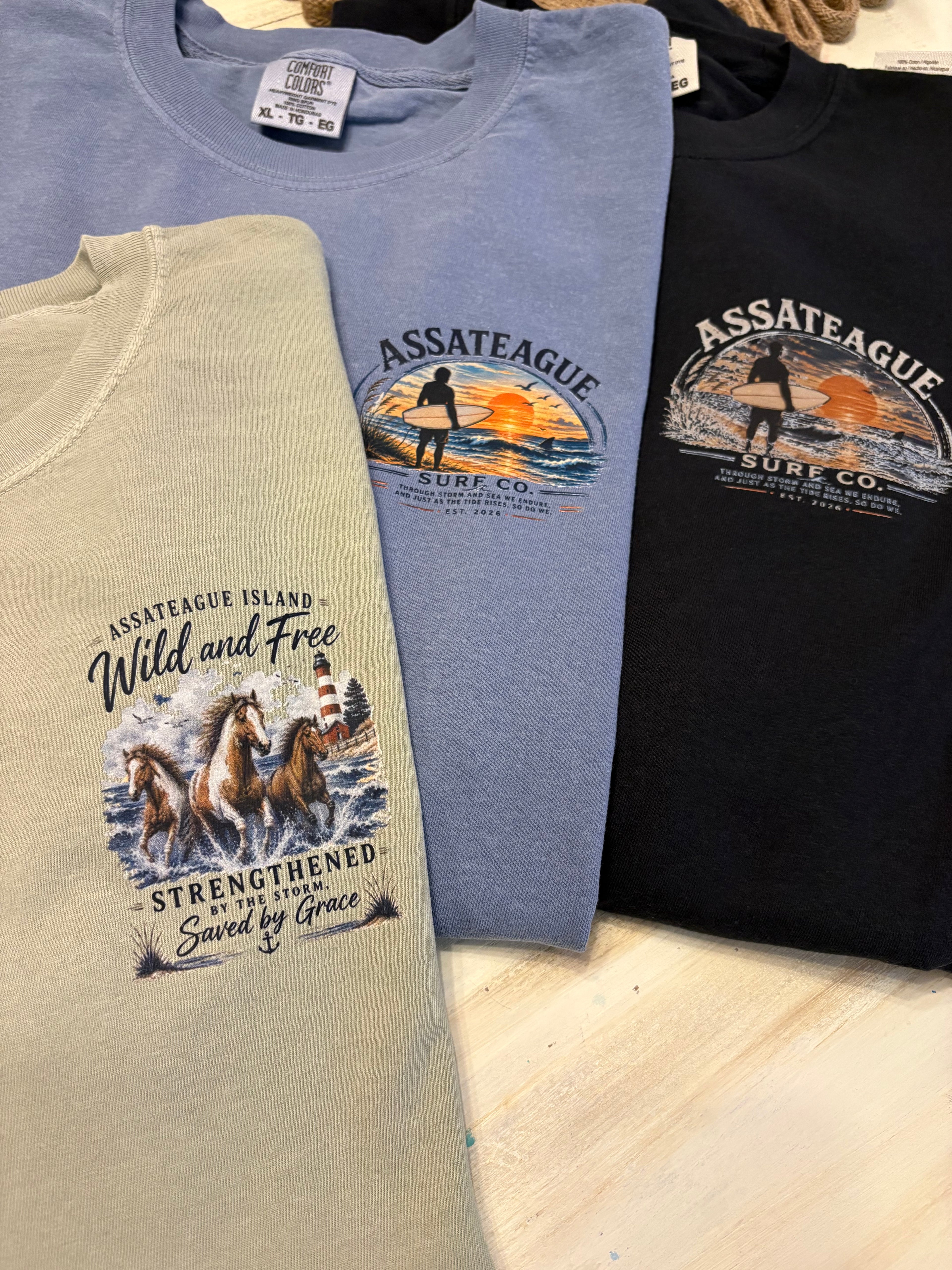 Assateague Island Strengthened by the Storm T-shirt