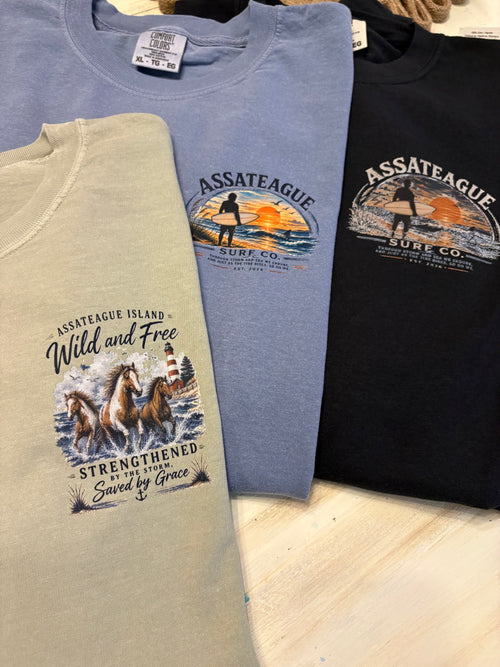 Assateague Island Strengthened by the Storm T-shirt