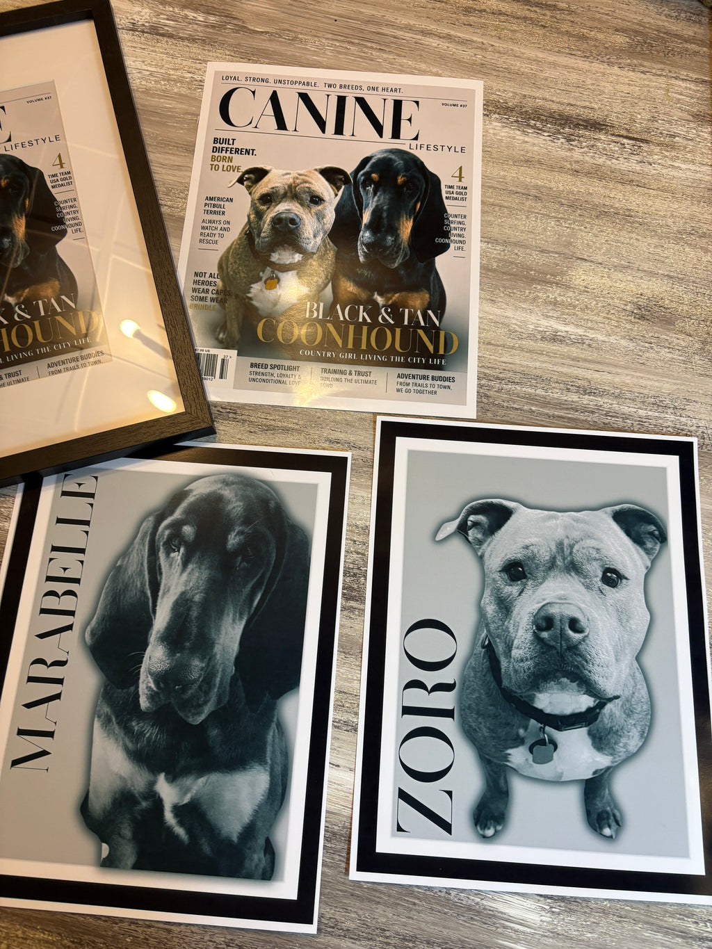 Custom Pet Magazine Cover