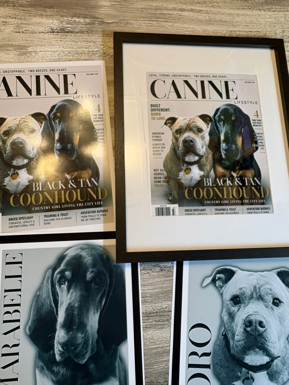 Custom Pet Magazine Cover